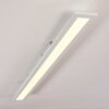 Ailik Plafoniera LED Bianco, 1-Luce, Telecomando