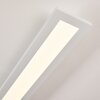 Ailik Plafoniera LED Bianco, 1-Luce, Telecomando