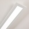 Ailik Plafoniera LED Bianco, 1-Luce, Telecomando