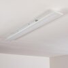 Ailik Plafoniera LED Bianco, 1-Luce, Telecomando