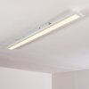 Ailik Plafoniera LED Bianco, 1-Luce, Telecomando