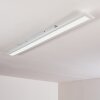 Ailik Plafoniera LED Bianco, 1-Luce, Telecomando