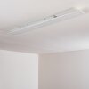 Ailik Plafoniera LED Bianco, 1-Luce, Telecomando