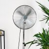 Mahon Ventilatore Cromo