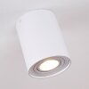 Betsie Plafoniera Bianco, 1-Luce