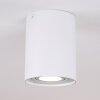 Betsie Plafoniera Bianco, 1-Luce