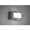 Reality Kendal Applique LED Antracite, 1-Luce