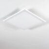 Salmi Plafoniera LED Bianco, 1-Luce