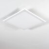 Salmi Plafoniera LED Bianco, 1-Luce