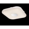 Globo Plafoniera LED Bianco, 1-Luce, Telecomando