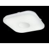 Globo Plafoniera LED Bianco, 1-Luce, Telecomando
