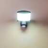 Applique da esterno Larvik LED Antracite, 1-Luce, Sensori di movimento