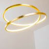 Stalon Lampada a Sospensione LED Oro, 1-Luce