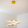 Stalon Lampada a Sospensione LED Oro, 1-Luce