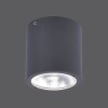 Paul Neuhaus GEORG Plafoniera LED Antracite, 1-Luce