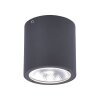 Paul Neuhaus GEORG Plafoniera LED Antracite, 1-Luce