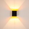 Laforsen Applique Nero-Oro, 1-Luce