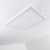 Bankura Plafoniera LED Bianco, 1-Luce, Telecomando, Cambia colore