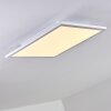 Bankura Plafoniera LED Bianco, 1-Luce, Telecomando, Cambia colore