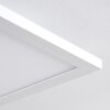 Bankura Plafoniera LED Bianco, 1-Luce, Telecomando, Cambia colore