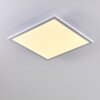 Bankura Plafoniera LED Bianco, 1-Luce, Telecomando, Cambia colore
