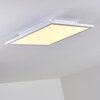 Bankura Plafoniera LED Bianco, 1-Luce, Telecomando, Cambia colore