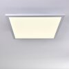 Bankura Plafoniera LED Bianco, 1-Luce, Telecomando, Cambia colore