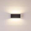 GEMINI Applique da Esterno LED Antracite, 1-Luce