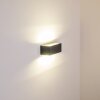 GEMINI Applique da Esterno LED Antracite, 1-Luce