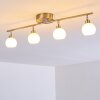 Motala Plafoniera LED Nichel opaco, 4-Luci, Telecomando, Cambia colore