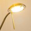 Rom Piantana LED Ottone antico, 2-Luci