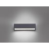 Paul Neuhaus ROBERT Applique LED Antracite, 1-Luce