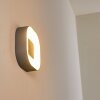 Applique da esterno Feldsted LED Argento, 1-Luce