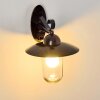 Maidiswil Applique da esterno Marrone scuro, 1-Luce