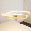 Stalon Lampada a Sospensione LED Oro, 1-Luce