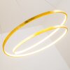 Stalon Lampada a Sospensione LED Oro, 1-Luce