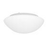 Steinhauer Lotti Plafoniera LED Bianco, 1-Luce