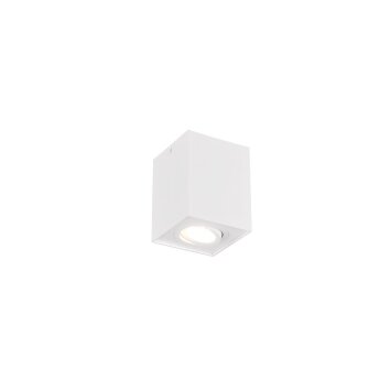 Plafoniera Trio Leuchten BISCUIT Bianco, 1-Luce