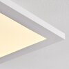 Salmi Plafoniera LED Bianco, 1-Luce