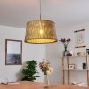 Timmele Lampadario a sospensione Legno chiaro, Nichel opaco, 1-Luce