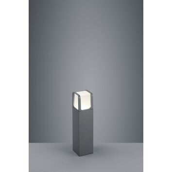 Trio EBRO Lampada con piedistallo LED Antracite, 1-Luce