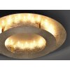 Paul Neuhaus NEVIS Plafoniera LED Oro, 1-Luce