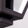 Malmberget Applique da esterno Trasparente, 1-Luce