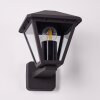 Malmberget Applique da esterno Trasparente, 1-Luce
