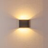 Applique da esterno Tinglev LED Antracite, 2-Luci