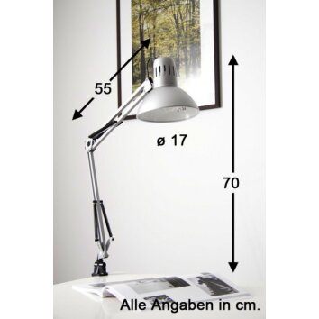 Brilliant Hobby Lampada con pinza Acciaio inox, Titanio, 1-Luce