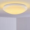 Brighton Plafoniera LED Bianco, 1-Luce, Telecomando, Cambia colore