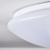 Brighton Plafoniera LED Bianco, 1-Luce, Telecomando, Cambia colore