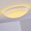 Brighton Plafoniera LED Bianco, 1-Luce, Telecomando, Cambia colore