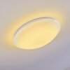 Brighton Plafoniera LED Bianco, 1-Luce, Telecomando, Cambia colore